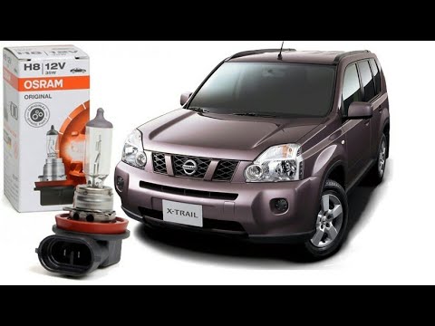 Лампы х трейл. Лампа ПТФ Nissan x-Trail t31. Лампа ПТФ Ниссан х Трейл т31. Nissan x-Trail t31 лампа в противотуманные фары. Лампочки противотуманки х Трейл т31.