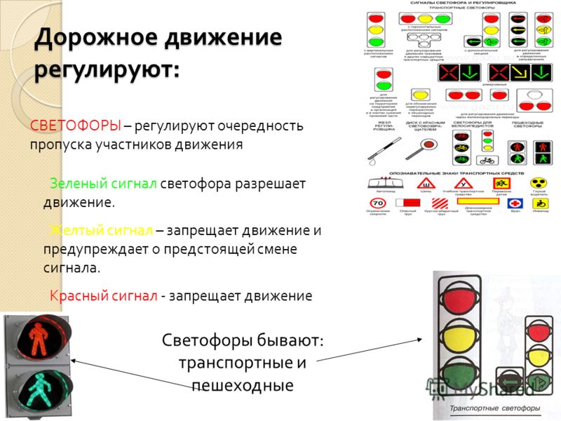 Светофоры пдд в картинках и с пояснениями