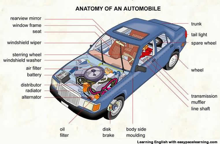 Learning the vocabulary for parts of a car inside and outside